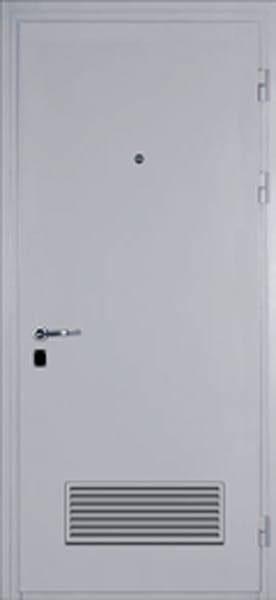 Дверь техническая железная входная Порошок 603