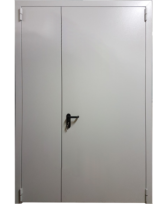 Входная тамбурная дверь Эконом 2118