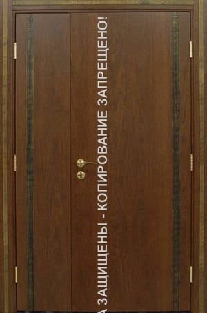 Входная тамбурная дверь ламинат 2006 Входная тамбурная дверь ламинат 2006