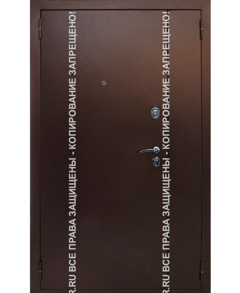 Входная техническая дверь Порошок 641 Входная техническая дверь Порошок 641