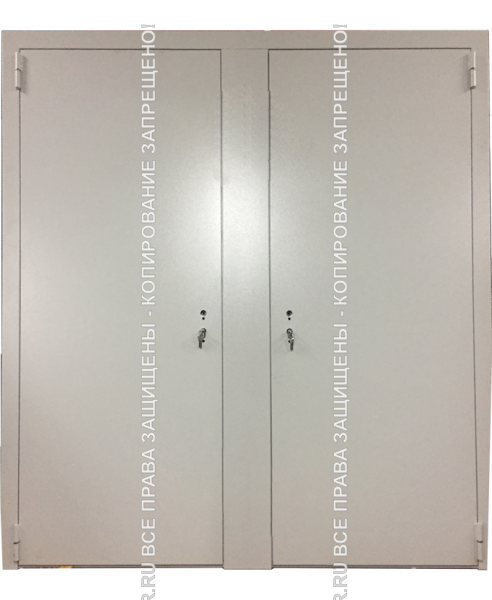 Дверь техническая металлическая входная Порошок 646 Дверь техническая металлическая входная Порошок 646